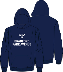 hummel BRADFORD PARK AVENUE HMLSUPPORTER HOODIE