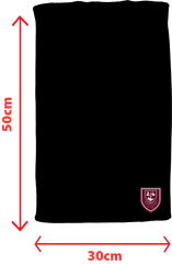 hummel EMLEY AFC MINI TOWEL