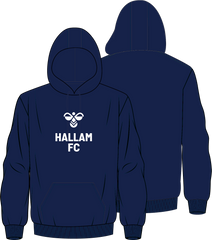 hummel HALLAM HMLSUPPORTER HOODIE